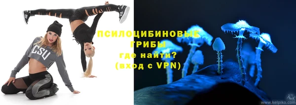 дмт Алексин