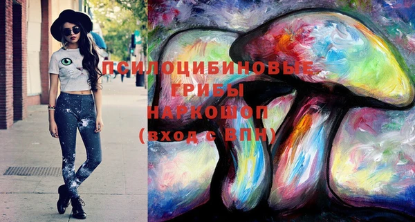 соль ск Ростов