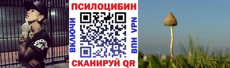 Галлюциногенные грибы Psilocybine cubensis  Россошь 